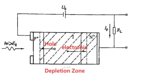 PIN photodiode PIN photodiode